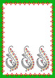 peacock border frame peacock border frame