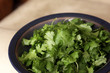Cilantro in a Bowl