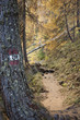Wanderweg