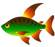 toy fish toy fish