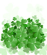 clovers garden clovers garden