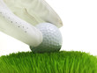 golf rules
