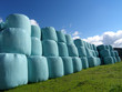 Silageballen