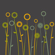 floral background, poppy with a space for your text