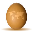 Brown Egg with World Map Sign