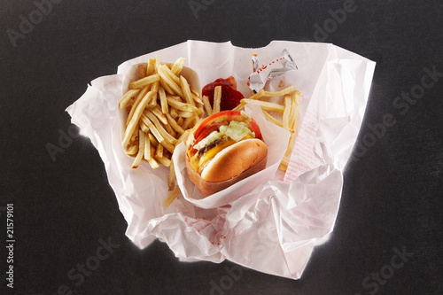 Fast Food Essay on Fast Food In Take Out Paper Bag    Ant236  21579101   See Portfolio