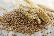 Photo: Whole grain wheat kernels closeup Whole grain wheat kernels closeup
