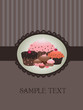cupcake design