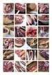 Viande, boucherie et charcuterie