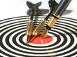 Photo: Pen and darts Pen and darts
