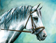 Gray horse watercolor painted.