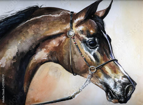 Illustration: Arabian horse watercolor painted Arabian horse watercolor painted