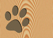 Paw Shop