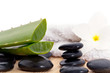 Bienfaits de l'Aloe Vera