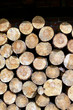 Holzstapel