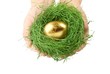 Hands holding grass nest with gold egg