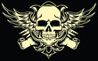 Skull with wings