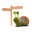 Rambler snail