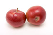 Red macintosh apple Red macintosh apple