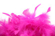 Plumes