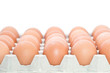 Oeufs en plaquette