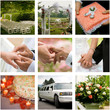 Collage of nine wedding photos Collage of nine wedding photos