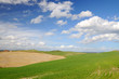 Paesaggio Siena e Dintorni
