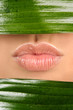 lips and leaf