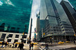 Verticals, NYC