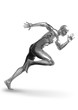 Chromeman Sprinter