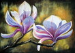 Magnolia flowersMy own artwork