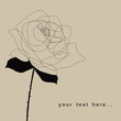 rose