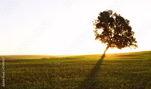 Photo: Rural scene Rural scene