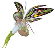 fee