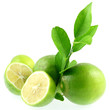 citrons verts naturels sans pesticides, fond blanc citrons verts naturels sans pesticides, fond blanc