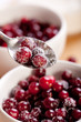 cranberry