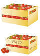 Caisses de tomates