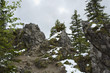 Mountains spring
