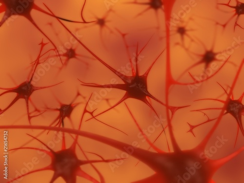 Illustration: neurons in the brain neurons in the brain