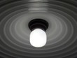 lightbulb