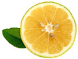 citron vert naturellement bio , fond blanc