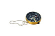 Golden compass isolated