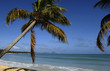 France, Martinique, plage des Salines France, Martinique, plage des Salines