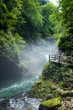 Vintgar Gorge with mist Vintgar Gorge with mist
