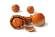 Hazelnuts on a white background