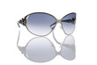 sunglasses 18
