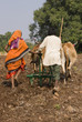 Rural Life in India Rural Life in India