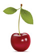 cherry on white background