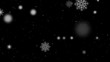 Snowflake Matte Loop