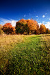 Autumn landscape